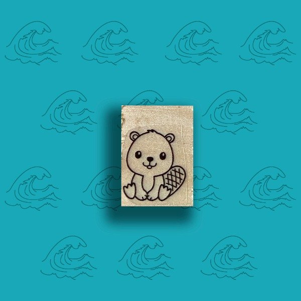 Producto - 3x2 Castor