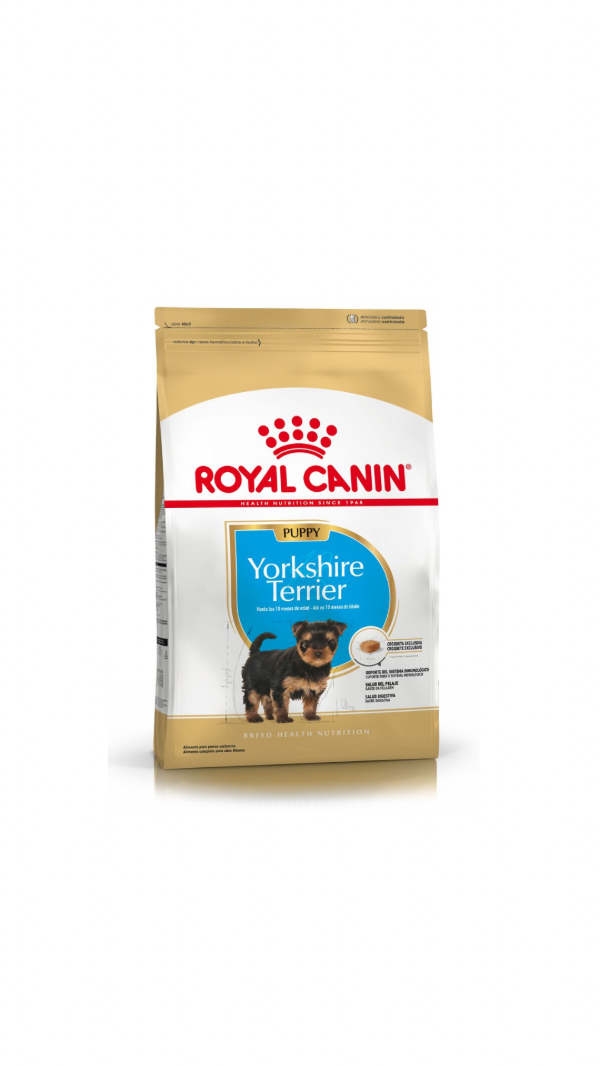 Producto - yorkshire puppy