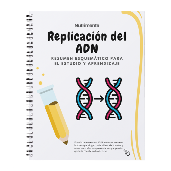 Producto - Guía Replicación del ADN