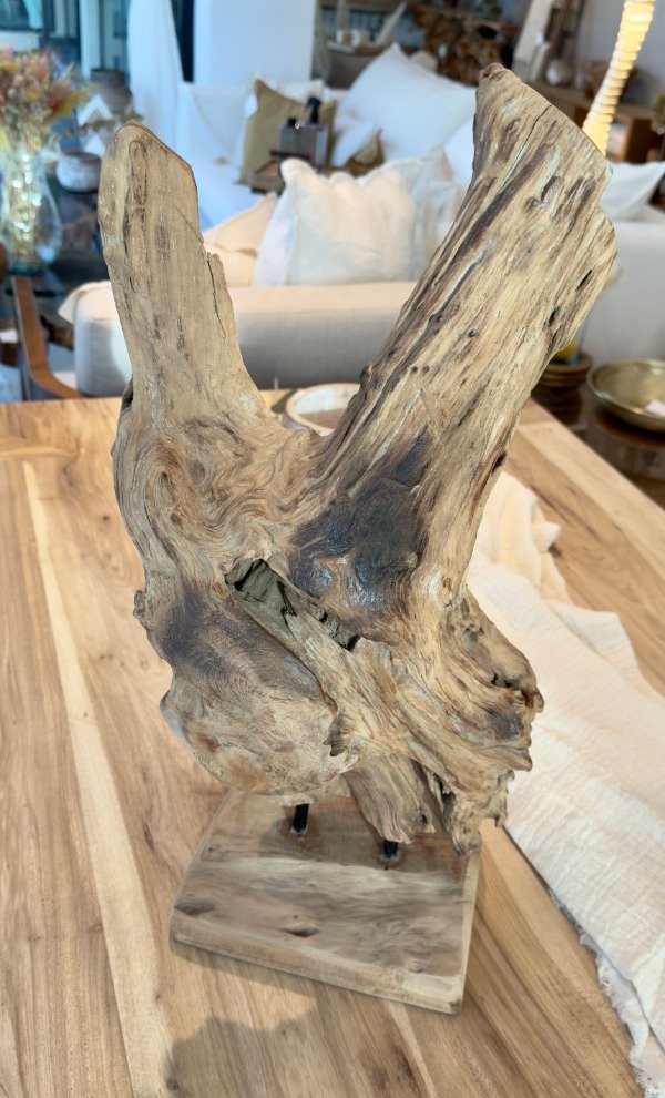 Producto - OBRA RAIZ