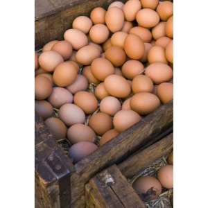 Producto - Huevos pastoriles medianos - Maple (30 unidades) - PACHAMAMA