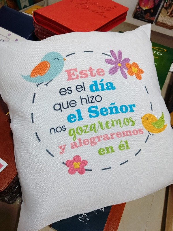 Producto - ALMOHADONES rellenos VARIOS Modelos - 0