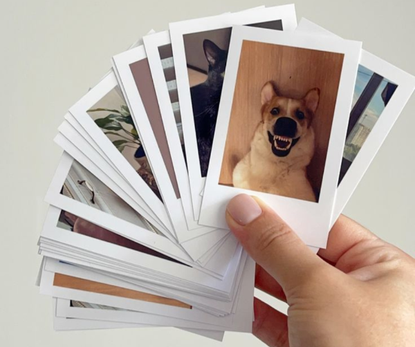 Producto - Polaroid PACK X12