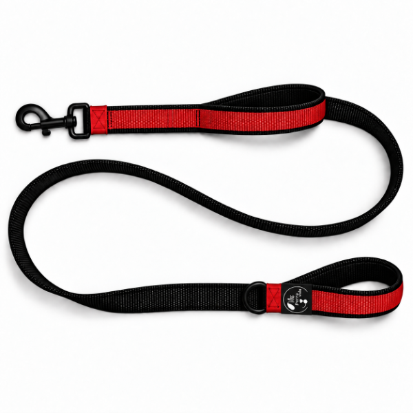 Producto - CORREA URBANO / Con doble Asa Acolchada - 2