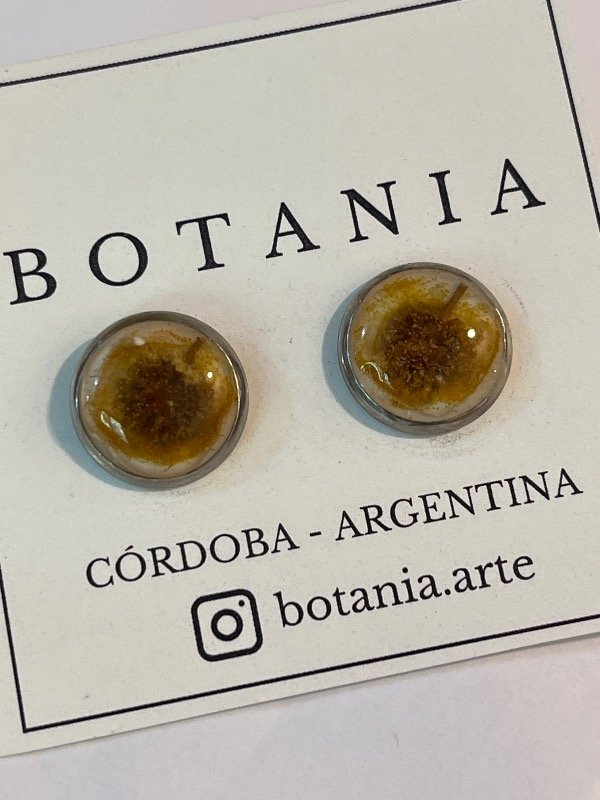 Producto - 42 aros espinillo