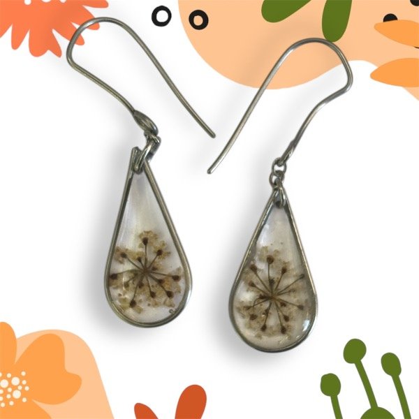 Producto - Aros cicuta