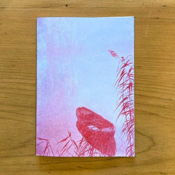 Producto - El secreto claro