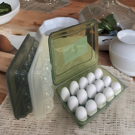 Producto - 27X17CM HUEVERA P/15 HUEVOS SURT
