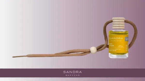 Producto - DIFUSOR PARA AUTOS  Piña caribe