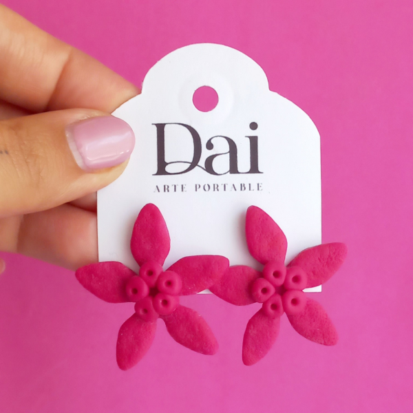 Producto - Aros Liz Fucsia