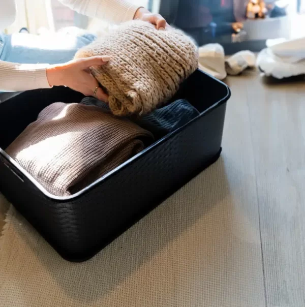 Producto - CAJA ORGANIZADORA XXL - 1