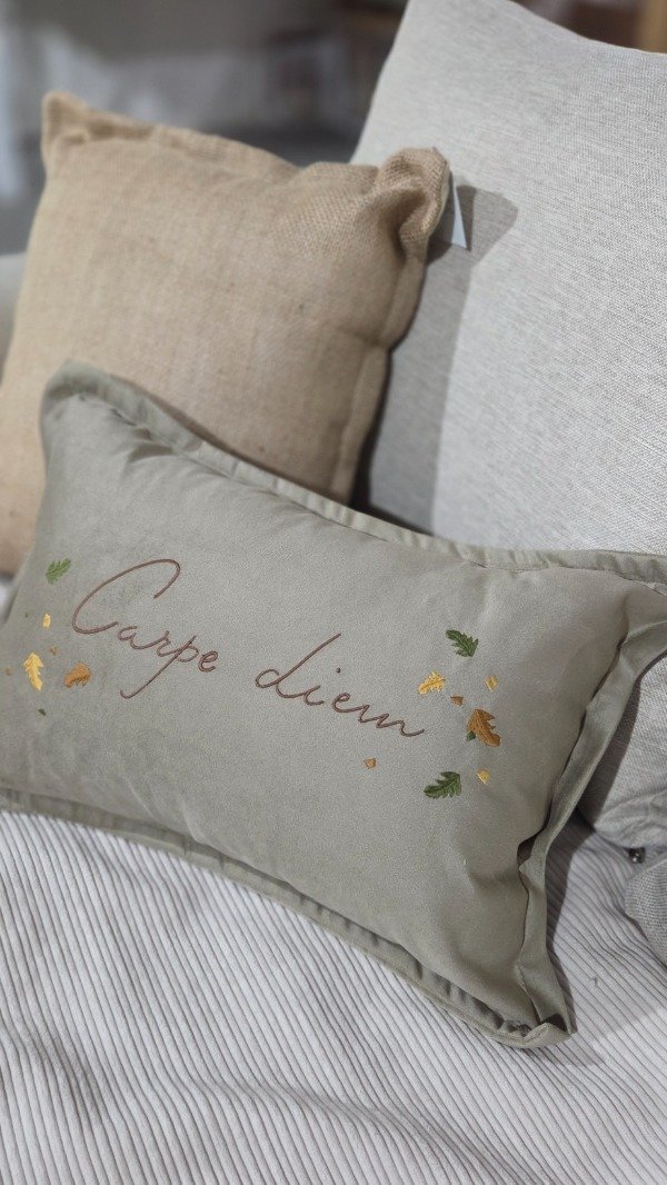 Producto - Almohadon Carpe diem Vison