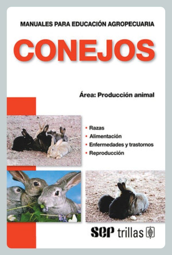 Producto - Conejos - Producción Animal