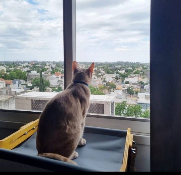 Miniatura de producto - 7