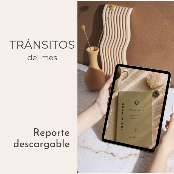 Producto - REPORTE DE TRÁNSITOS DEL MES