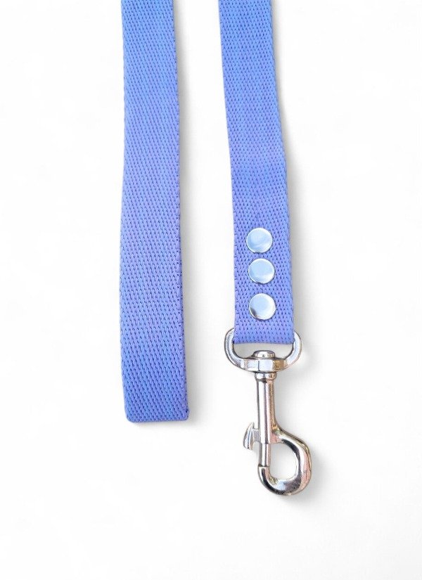 Producto - Correa Lavanda