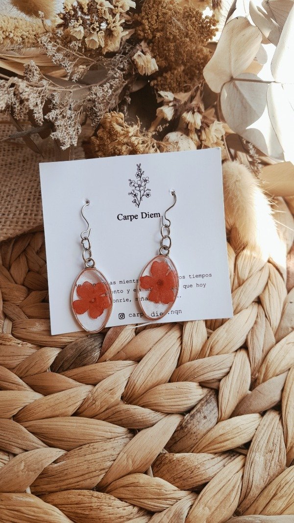 Producto - Aros Estéfano