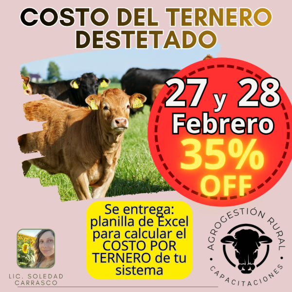 Producto - Taller Online: Costo del Ternero