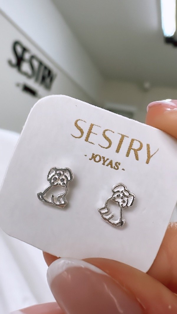 Producto - Aro doggy (par) (Plata) SALE