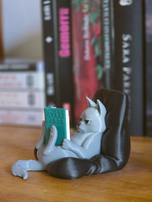 Producto - GATITO LECTOR EVIL PLANS - 9