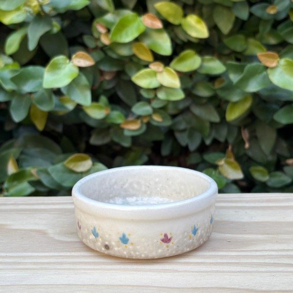 Producto - Molde de yeso Cuenquito picada