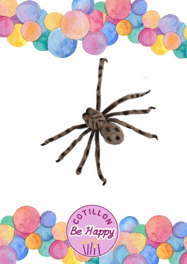 Producto - ARAÑA ATIGRADA