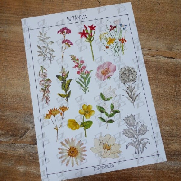 Producto - STICKERS BOTANICAL