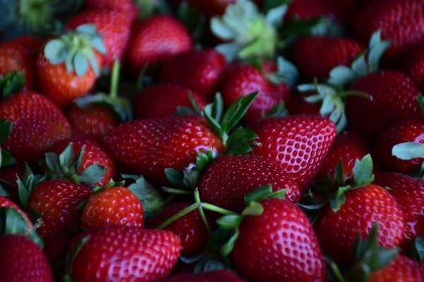 Producto - Frutillas 1/2kg