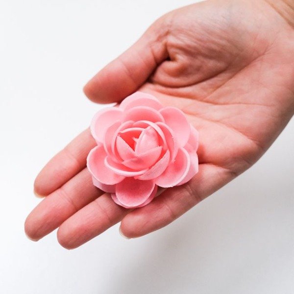 Producto - Molde suculenta oblea