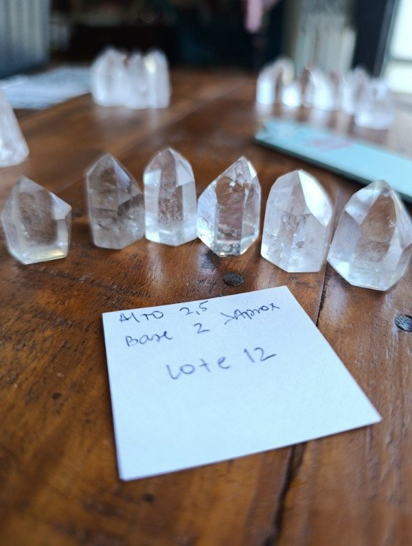 Producto - Lote 12 puntas Tameana x6