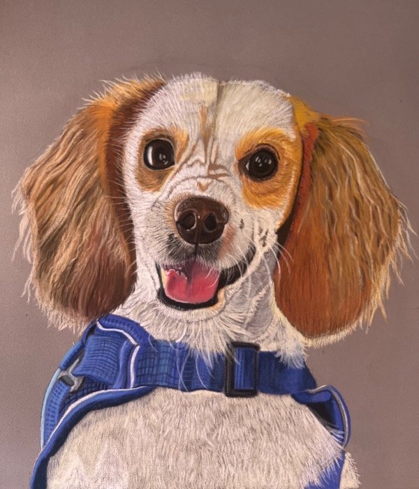 Producto - Retrato de mascota con pastel tiza - 2