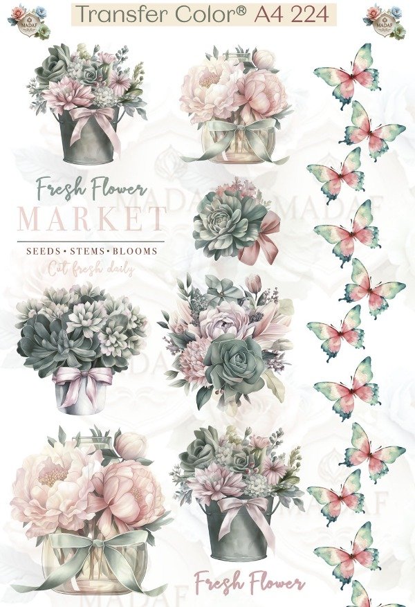 Producto - TRANSFER COLOR A4 224