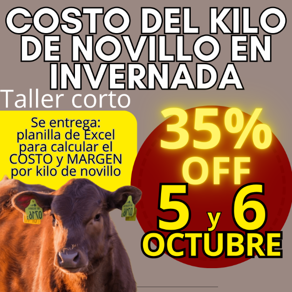 Producto - Taller corto: cálculo del costo del kilo de novillo - 0