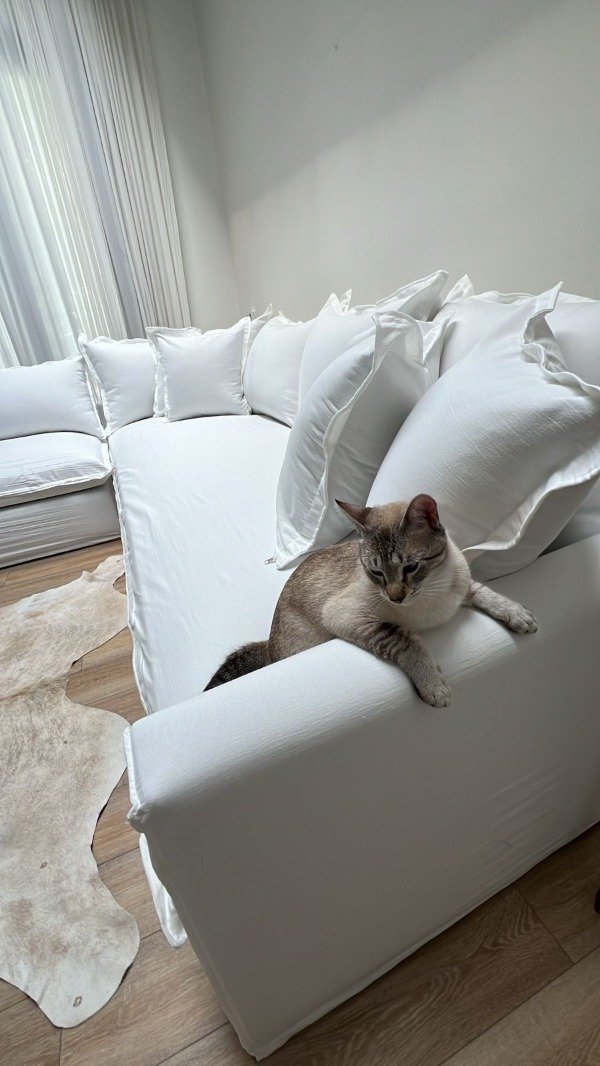 Producto - Sofá Lino - 6