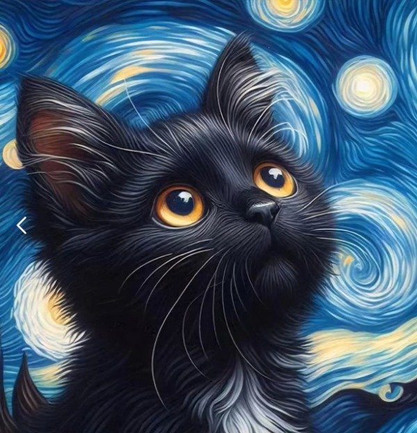 Producto - DIAMOND PAINTING 30X30 BASTIDOR GATITO NEGRO NOCHE ESTRELLADA