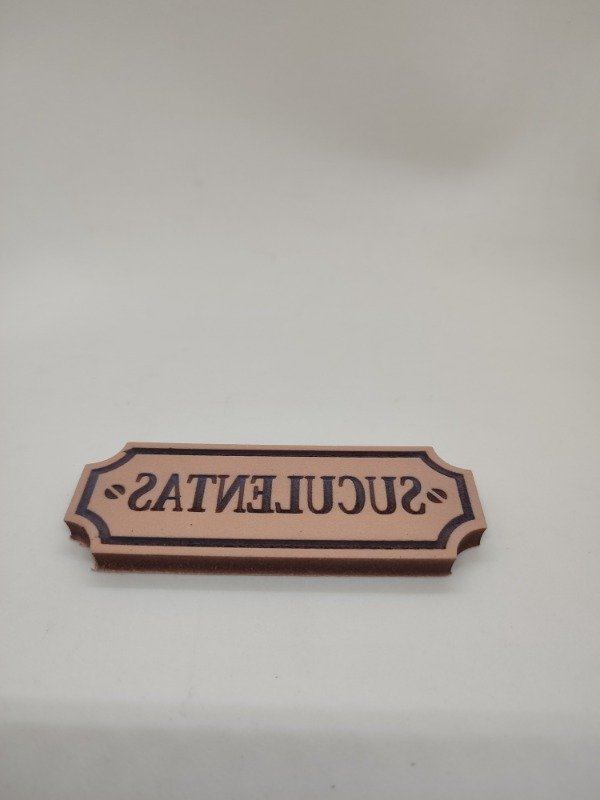 Producto - Suculentas