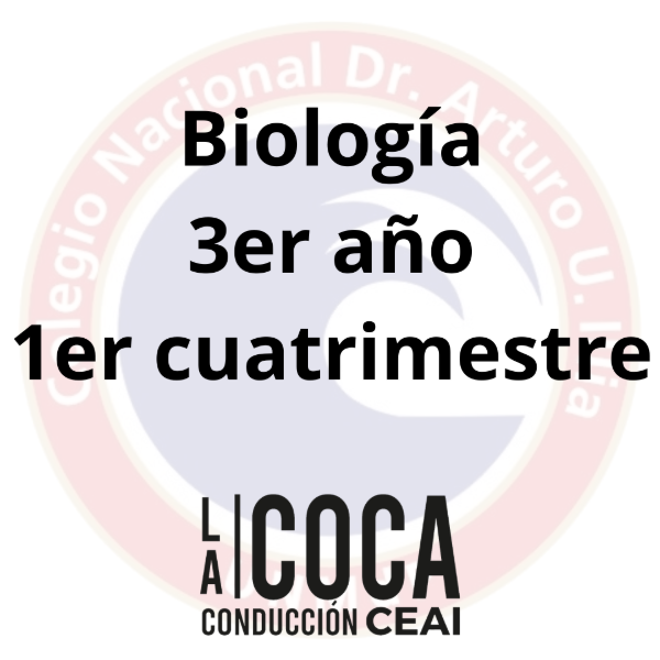 Producto - Biología 3er año - 1er cuatrimestre