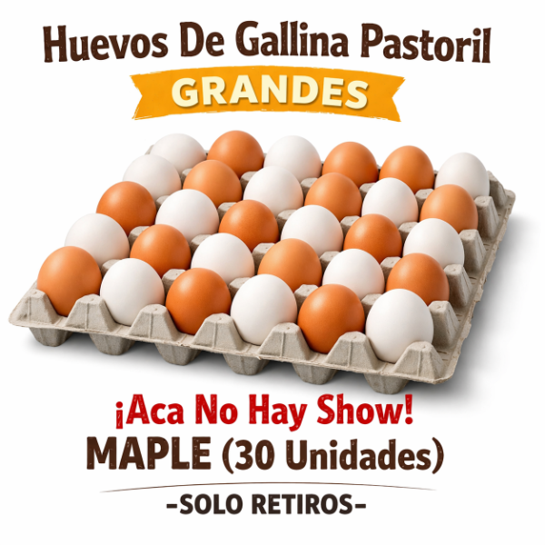Producto - Huevos De Gallina Pastoril GRANDES Aca No Hay Show MAPLE SOLO RETIROS