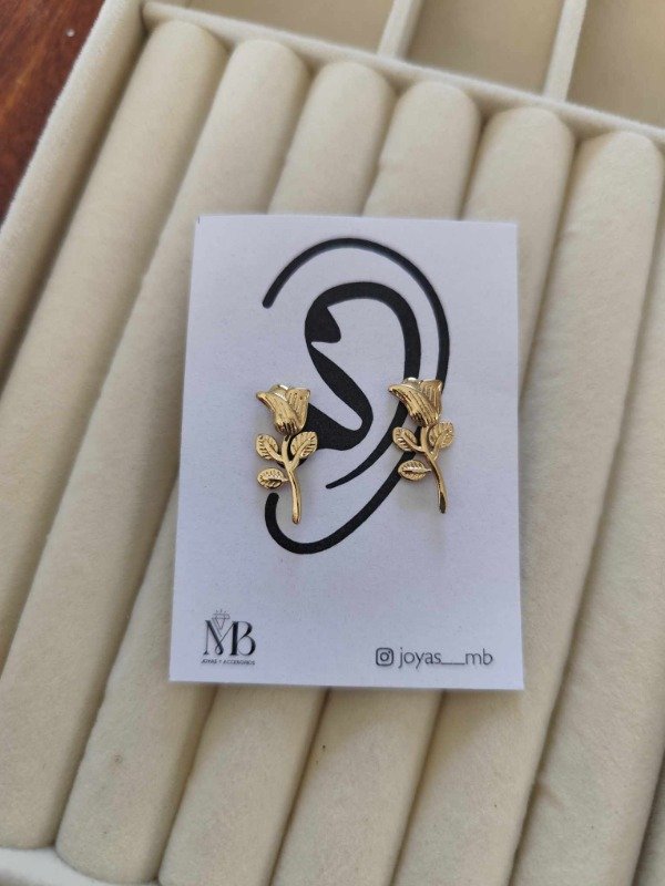 Producto - Aros rosa. Acero dorado.