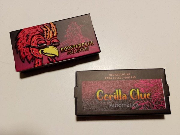 Producto - SEMILLAS AUTOMÁTICAS "GORILLA GLUE" x3 - ROOSTER CLUB