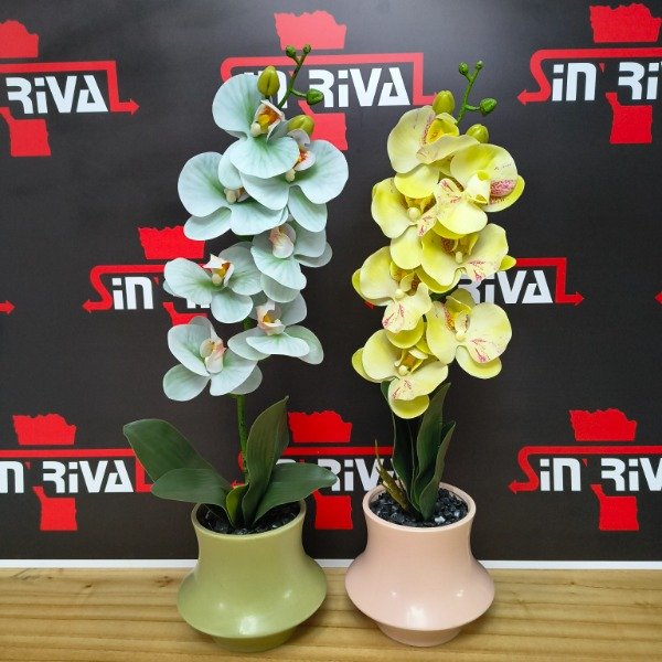 Producto - ORQUIDEA EN MACETA 9450 / 9454