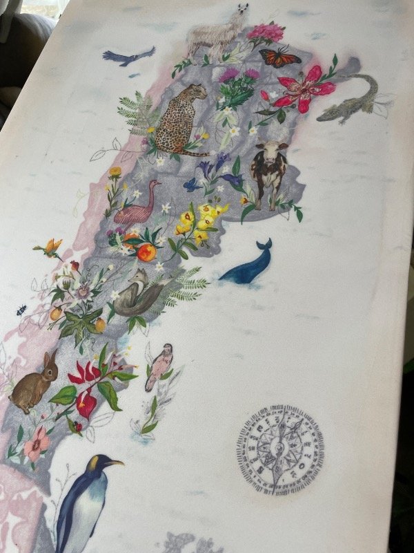 Producto - Mapa Flora y Fauna Argentina - 3