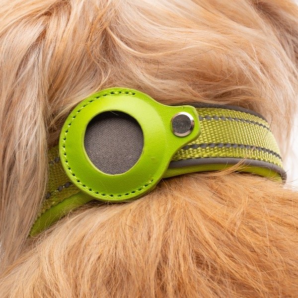 Producto - Collar Balto VERDE