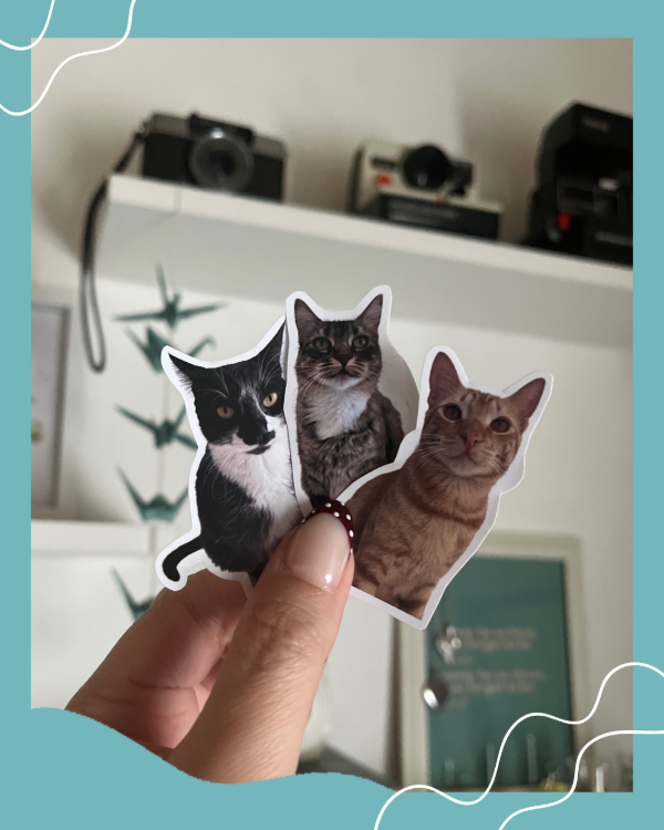 Producto - stickers con tus fotos - 4