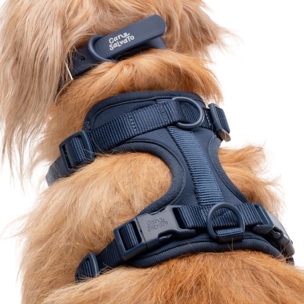 Producto - Set Laika AZUL