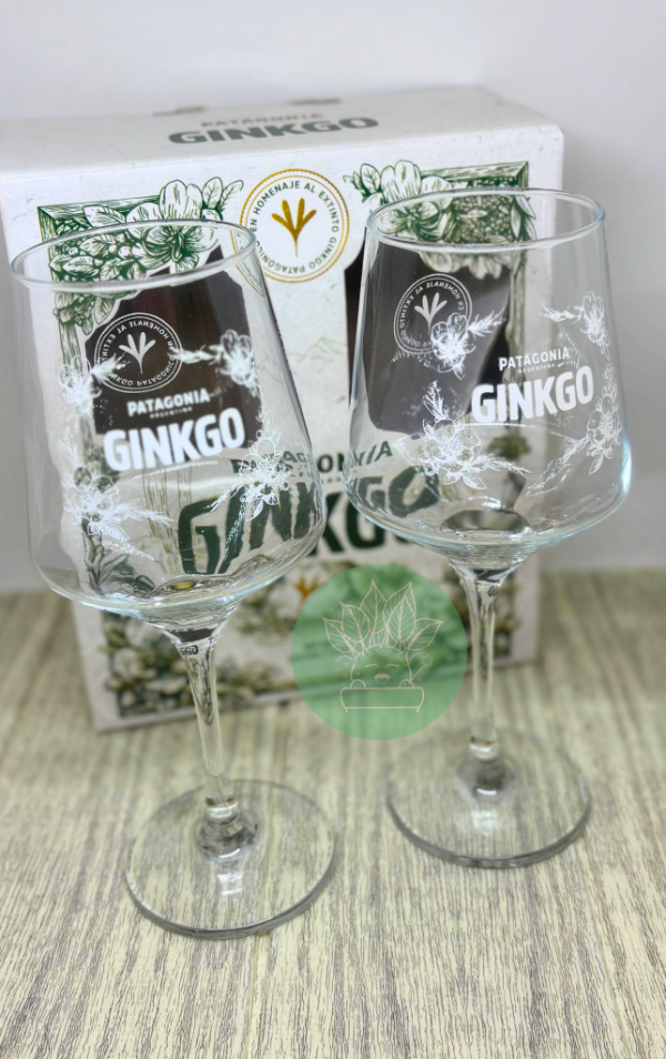 Producto - Copas para gin