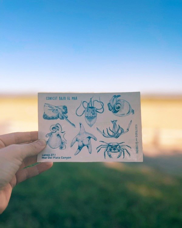 Producto - Bajo el mar - stickers