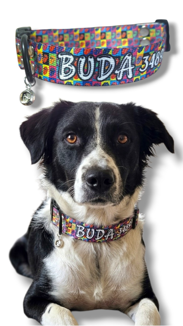 Producto - Collar - 2