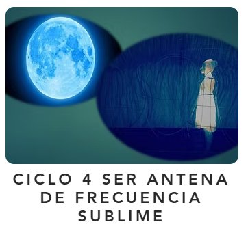 Producto - 4 VIDEO SER ANTENA DE FRECUENCIA SUBLIME