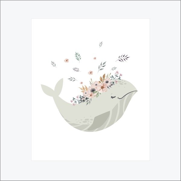 Producto - Ballena a la vista